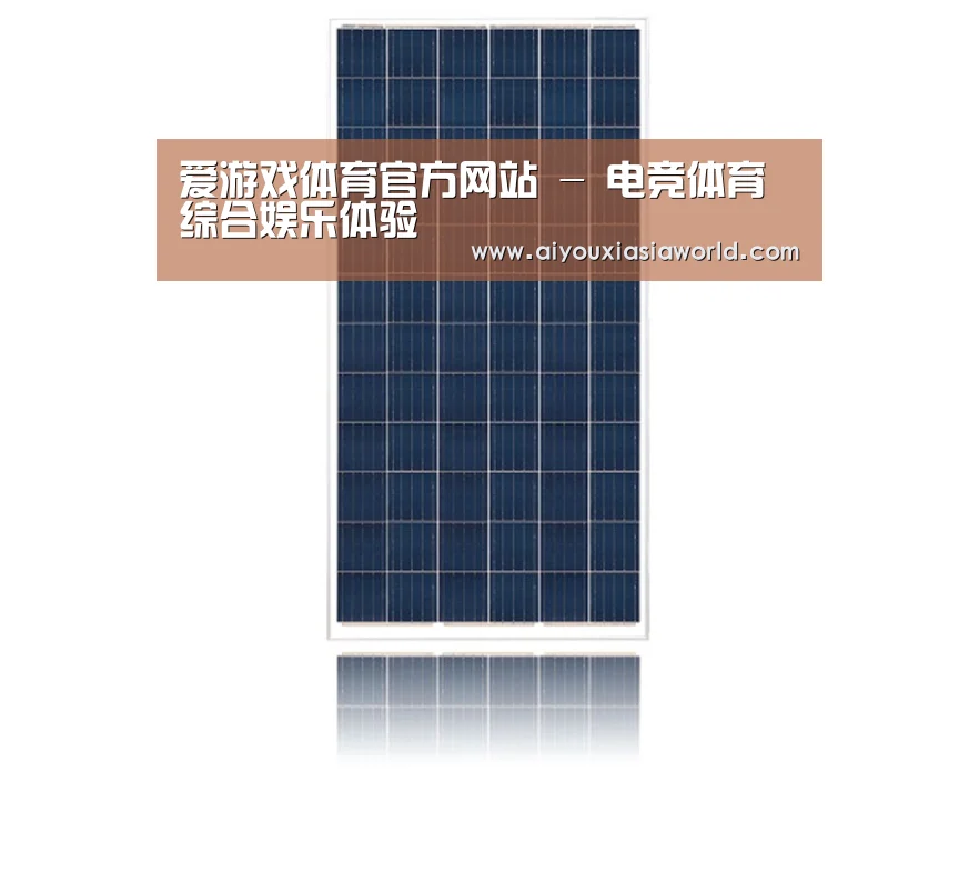 产品名称一