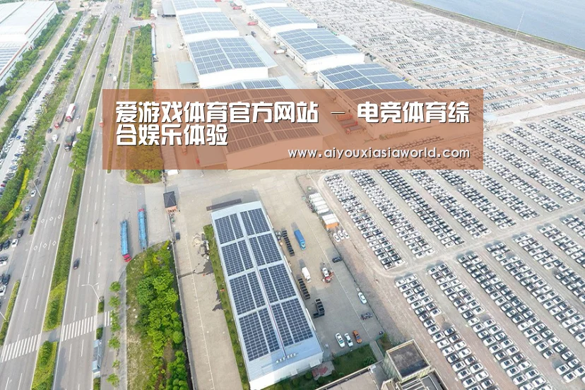 案例展示一