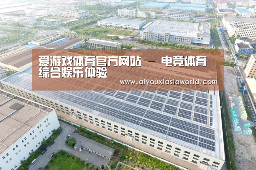 案例展示三