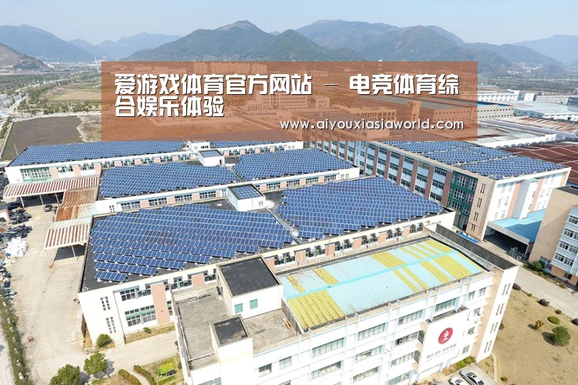 案例展示三