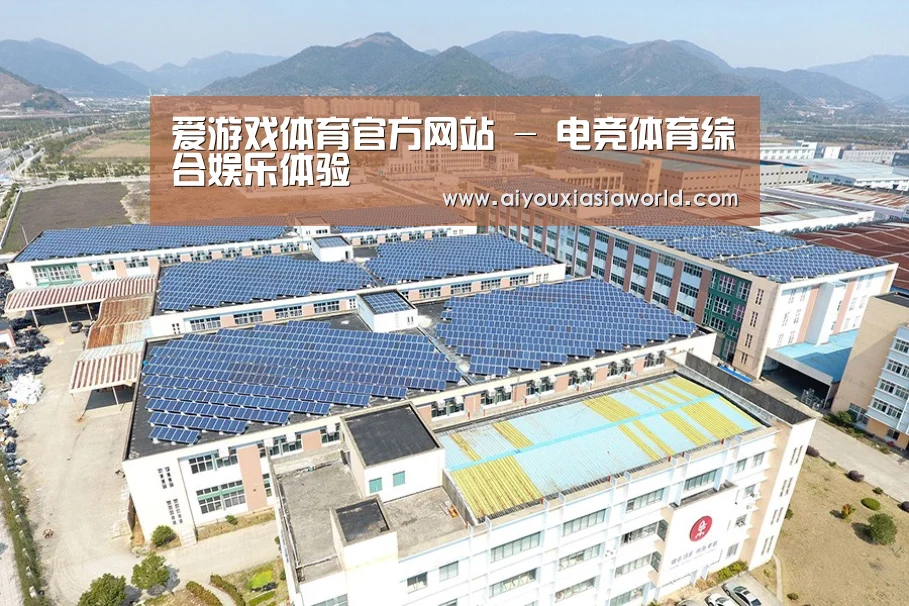 案例展示三