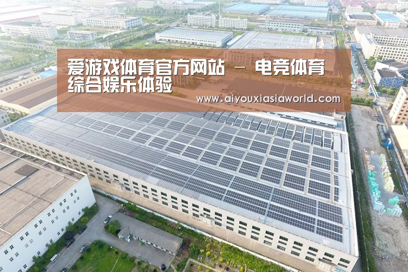 案例展示四